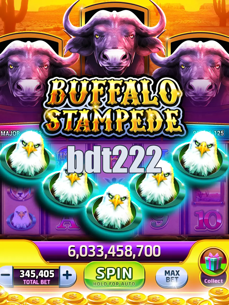 bdt222 লগইন